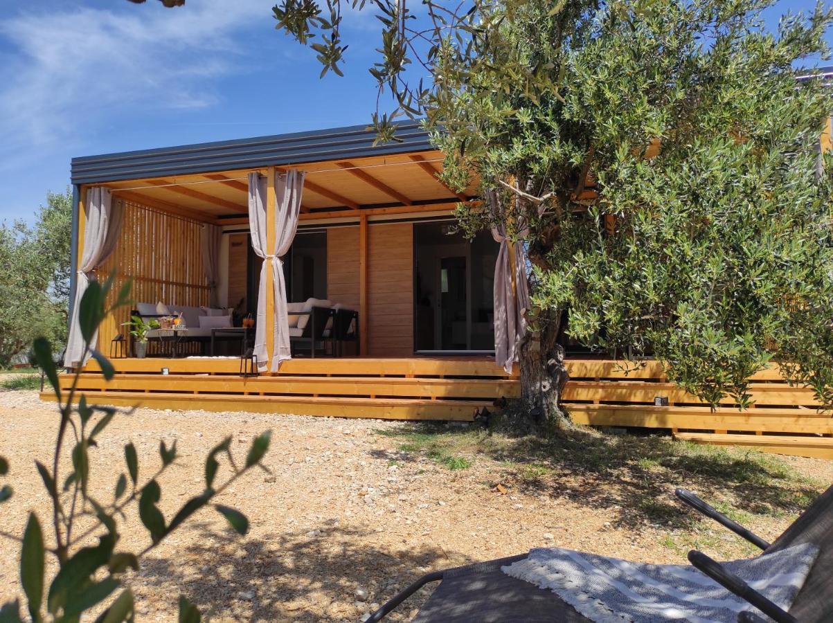 Zen Zone Premium Mobile Home 德拉格 外观 照片