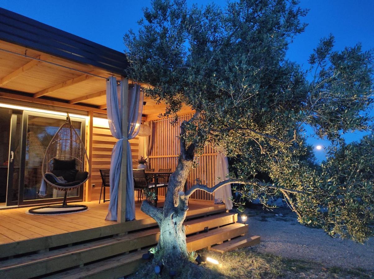 Zen Zone Premium Mobile Home 德拉格 外观 照片